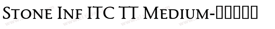 Stone Inf ITC TT Medium字体转换
